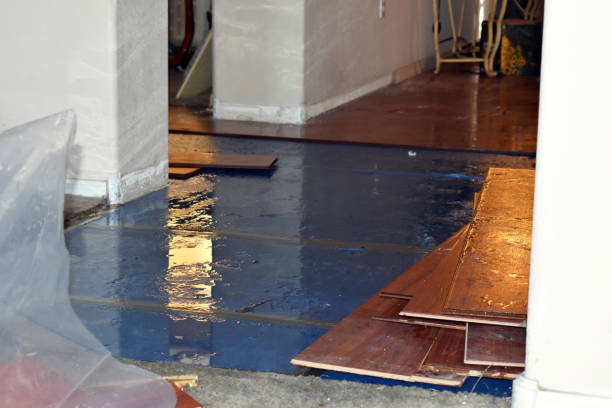 Professional Burst Pipe Cleanup technician working in Laketown, UT